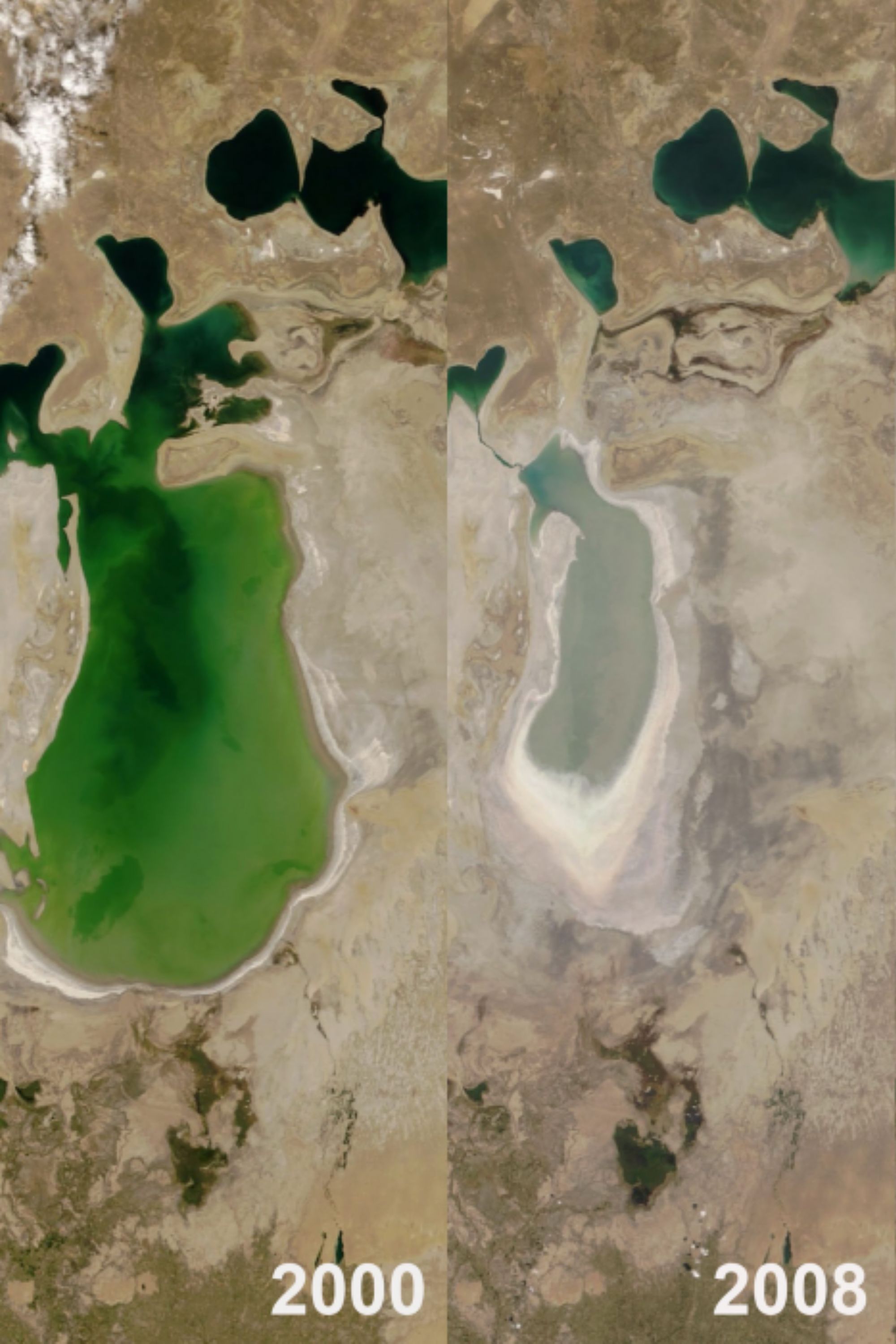 The fourth-largest freshwater lake, The Aral Sea, dried up, but what does this have to do with clothing?
